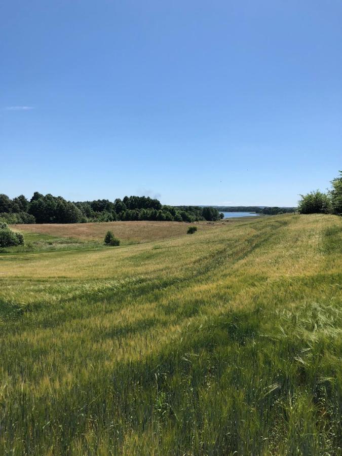 Zielone Okiennice Miłki Eksteriør bilde